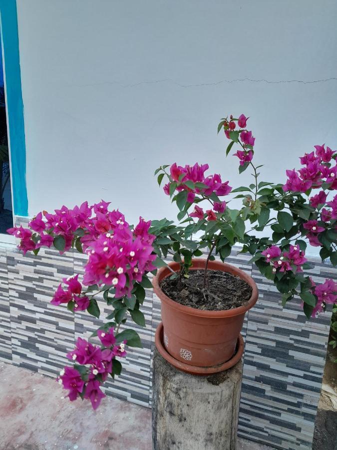Playa Mag Hotel Covenas Exterior photo